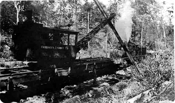 hassingertrain.jpg
This is a 1911 postcard showing one of Hassinger Lumber Company's logging trains in operation.
