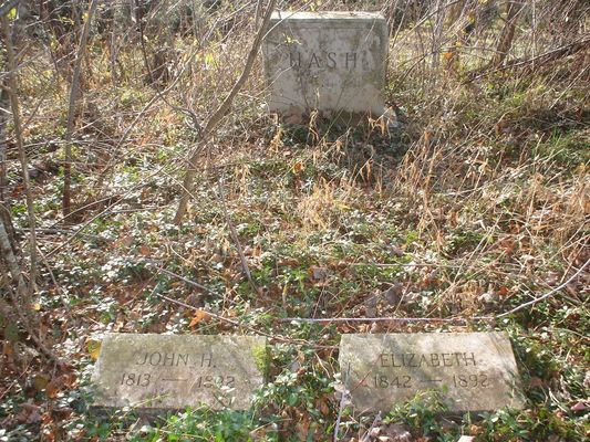 johnhhashgrave.jpg
This cemetery plot is in the Elisha Anderson Cemetery.  Photo courtesy of Chrissie Anderson Peters.
