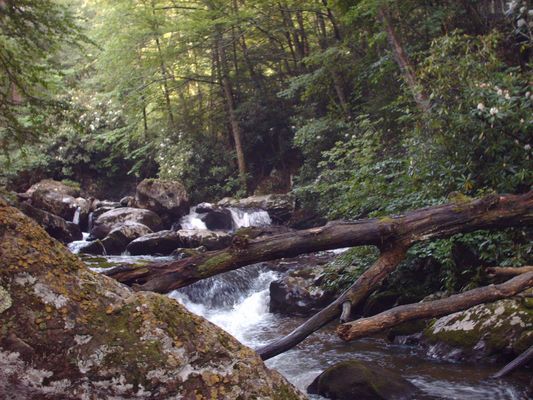 july2006pic 016.jpg
Photo July 14, 2006 by Jeff Weaver.
