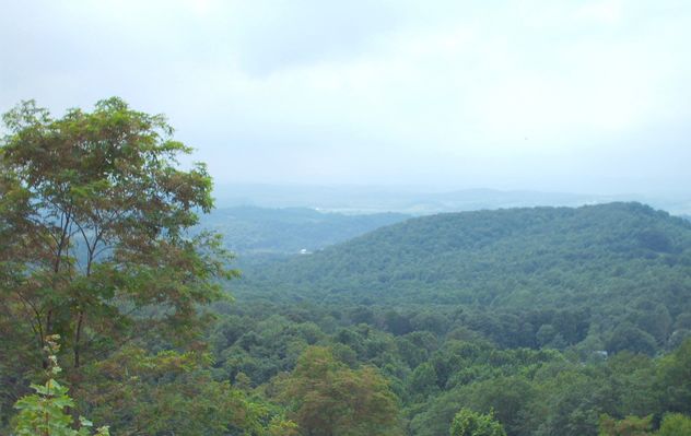 july2006pic 036.jpg
Photo July 22, 2006.
