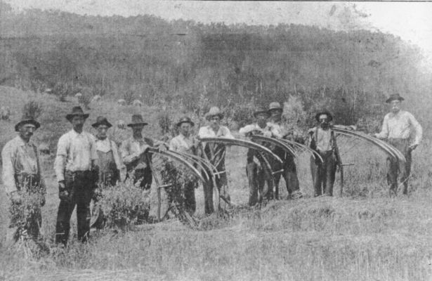 konnarockwheat.jpg
This ca. 1920s image shows a group of men cradeling wheat in Konnarock.  Two are identified on the extreme left, James Wilson Martin and next to him William Wallace Martin.  Courtesy of Pauline Haga.
