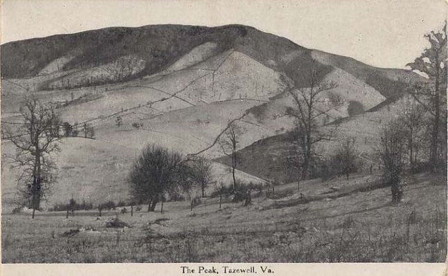 peaktazewell.jpg
This is a 1909 postcard.

