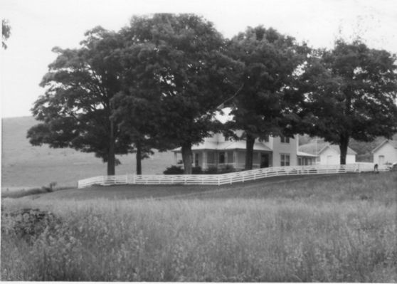perkinsplantation.jpg
This is the plantation of Johnson Perkins on Helton.  This house is of Victorian era construction.  Photo by Jeff Weaver, July 1, 1978,
