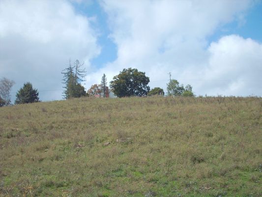 pics 079.jpg
Photo September 20, 2006 by Jeff Weaver.
