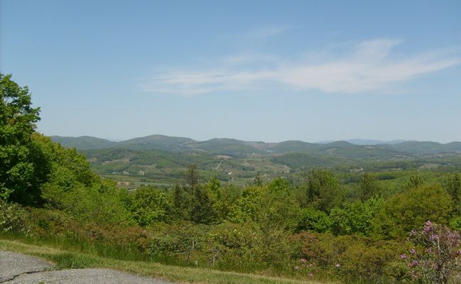 Doughton Park - View to the East
Photo by Jeff Weaver May 20, 2007.
