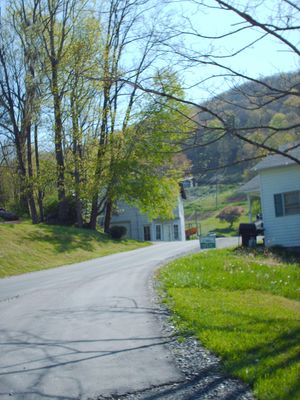 pics 096.jpg
Photo by Jeff Weaver, Spring 2006.
