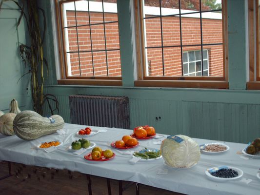 pics 114.jpg
Some of the agricultural exhibits at the 2006 Chilhowie Apple Festival.
