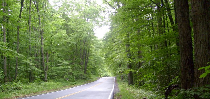 Konnarock - The Road Less Travelled
This is Fairwood Road between Konnarock and Troutdale.  It has been designated a Virginia Scenia byway.  Photo by Jeff Weaver, June 3, 2007.

