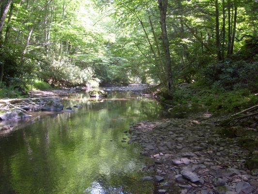 pics 185~0.jpg
Photo July 4, 2007 by Jeff Weaver.
