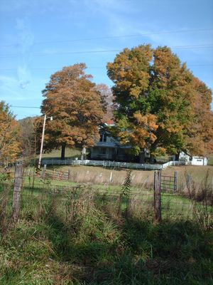 pics 200.jpg
Photo October 4, 2006 by Jeff Weaver.  This pic shows the home of Miss Alta Perkins on the one time Johnson Perkins plantation on Helton Creek.
