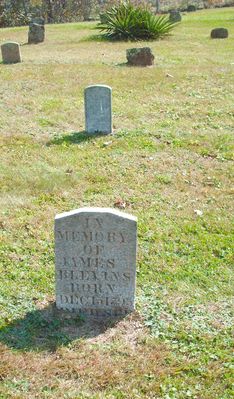 pics 202.jpg
This is the grave marker for James Blevins.  Photo October 4, 2006 by Jeff Weaver.

