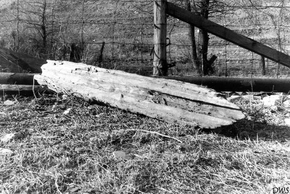 pumplog.jpg
HERE IS AN OLD PUMP LOG THAT MY COUSIN AND I DUG OUT OF A BOG NEAR THE SALT PARK IN 1965. THERE WERE MANY IN THE BOG AND ALL WERE SPLIT LIKE THE ONE SHOWN. MUST HAVE BEEN A DUMPING SPOT FOR OLD LOGS.   Courtesy of Don Smith [email]dsmith1043@comcast.net[/email]
