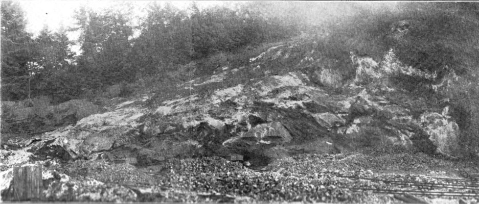 pyrrhotitemine.jpg
General View of the pyrrhotite vein, "Great Gosan Lead" at "Great Outburst" near Chestnut Yard, Carroll County, VA.  This photo is from [i]Mineral Resources of Virginia[/i] published in 1907.
