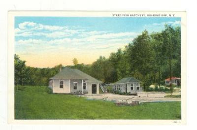 roaringgapfish.jpg
This post card is from the 1930-45 era.
