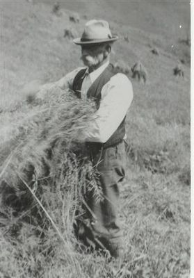 spencerbudoats.jpg
This image shows Bud Spencer bundling oats circa 1940.  Courtesy of Eleanor Jo Cox [email]ejcox@naxs.com[/email]
