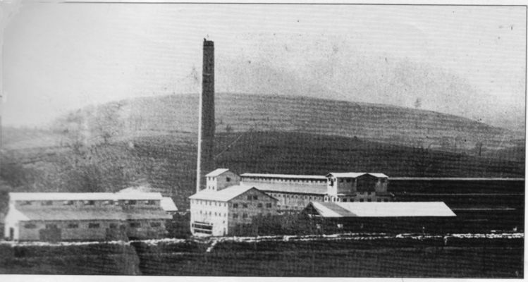 teasextract.jpg
Formed in the early 20th century, the Teas Extract company used the bark from chestnut trees to make tannic acid, used in tanning leather.
