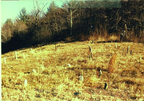 weavercem1.jpg
This photo was taken by Jeff Weaver in the early 1980s.
