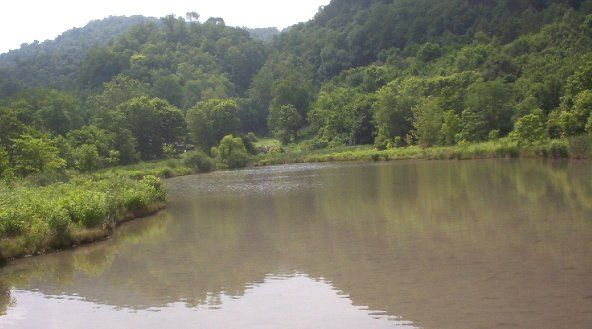 wellfields2.jpg
Photo by Jeff Weaver, Summer 2003.
