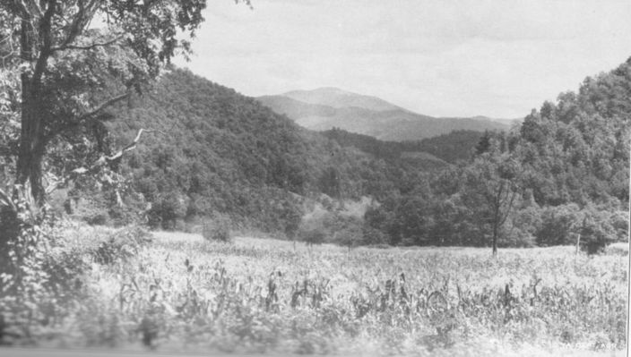whitetop38.jpg
General view of Whitetop mountain.  Photo by the Virginia Department of Agriculture, 1938.
