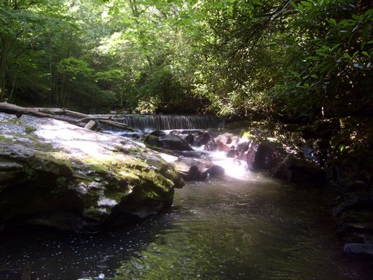 Konnarock - Whitetop Laurel Creek Falls
Photo July 4, 2007 by Jeff Weaver.  One must hike down a rather steep trail to reach a point for a good view of this falls.
