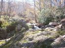 100_1773.jpg