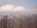 DSC03436.jpg