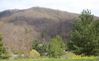 Filename=heltonknob~0.jpg
Filesize=57KiB
Dimensions=592x364
Date added=Apr 18, 2008 heltonknob~0.jpg