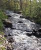 Filename=laurelcreek.jpg
Filesize=78KiB
Dimensions=375x456
Date added=Jan 24, 2006 laurelcreek.jpg