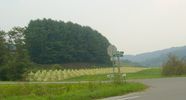 Filename=pics 417.jpg
Filesize=305KiB
Dimensions=1677x900
Date added=Sep 12, 2007 pics 417.jpg