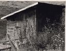 Filename=shedonspencerbranch.jpg
Filesize=536KiB
Dimensions=1358x1050
Date added=Jan 25, 2006 shedonspencerbranch.jpg