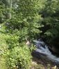 tumblingcreekfalls2.jpg