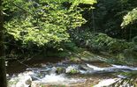 tumblingcreekfalls3.jpg