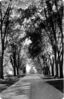 Filename=vpipromenade.jpg
Filesize=53KiB
Dimensions=290x447
Date added=Jan 16, 2007 vpipromenade.jpg