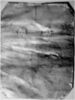 Filename=weavercmcelia.jpg
Filesize=157KiB
Dimensions=679x903
Date added=Feb 03, 2006 weavercmcelia.jpg