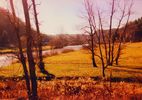 weaversford.jpg