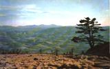 Filename=whitetopsouth.jpg
Filesize=36KiB
Dimensions=500x311
Date added=Oct 21, 2006 whitetopsouth.jpg