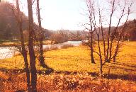The North Fork of the New River near Weaver's Ford, Ashe County, North Carolina: 
View is looking to the northwest from the east bank of the river
