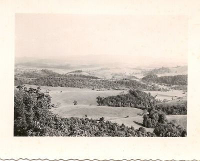 view.jpg