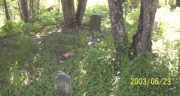 Phipps Cemetery – Spencer Branch