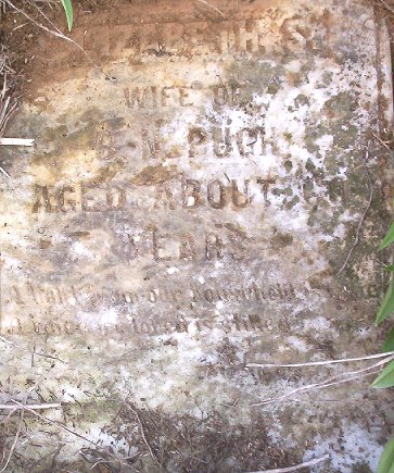 Elizabeth S. Pugh