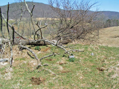 Joe Roberts Cemetery