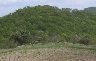 Samuel Tucker Family Cemetery