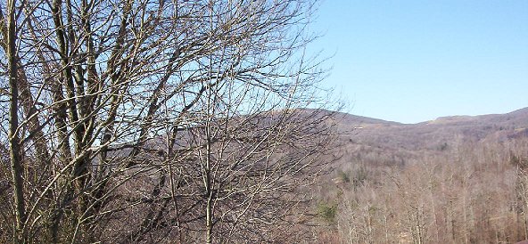 Pond Mountain