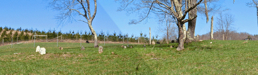 andersonhashcemetery