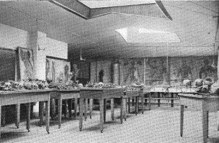 A part of the Dissecting Hall