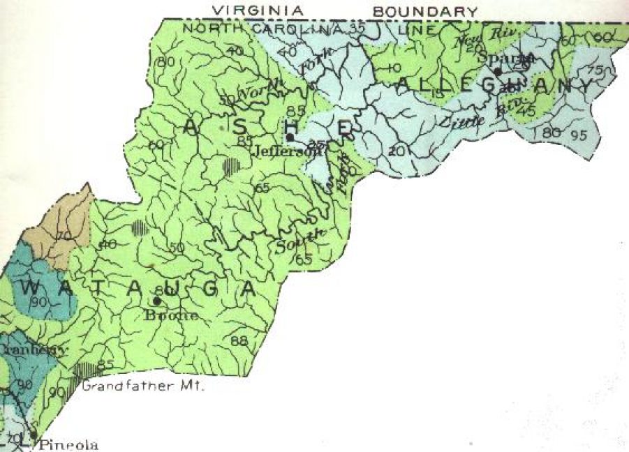 Map of Forest Conditions in Ashe, Alleghany, and Watauga County, North Carolina in 1911