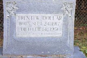 dollartrentw