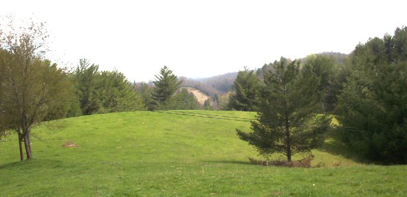 pasture Pastoral Scene from the David Blevins Cemetery
Mount Jefferson is in the extreme distance, although difficult to see in this image