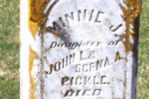 Minnie J Pickle, D. 1893