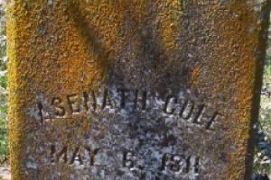 Asenath Cole, 1811-1885